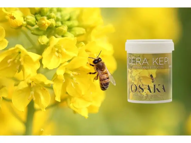 Imagen OSAKA CERA KEPI 1 L 2