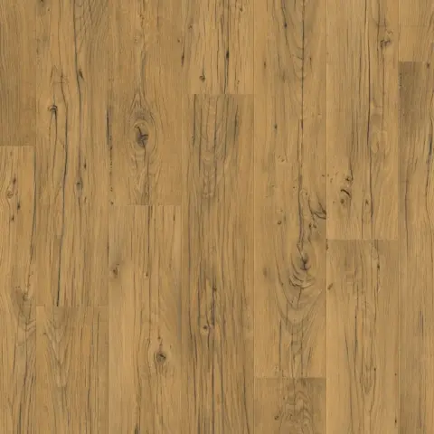 Imagen COLECCIN  CAPTURE 13