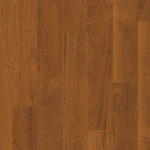 Imagen COLECCIN  CAPTURE 16