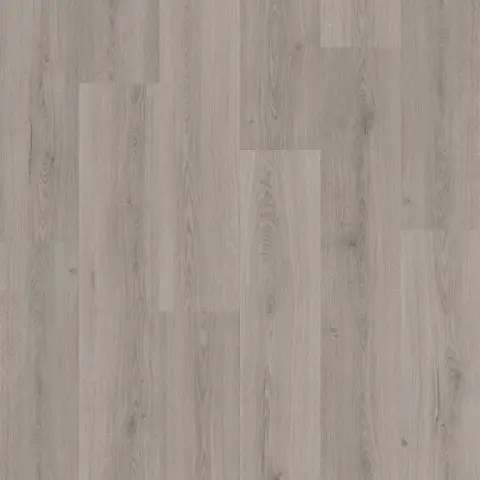 Imagen BLOOM-BOTNICO GRIS